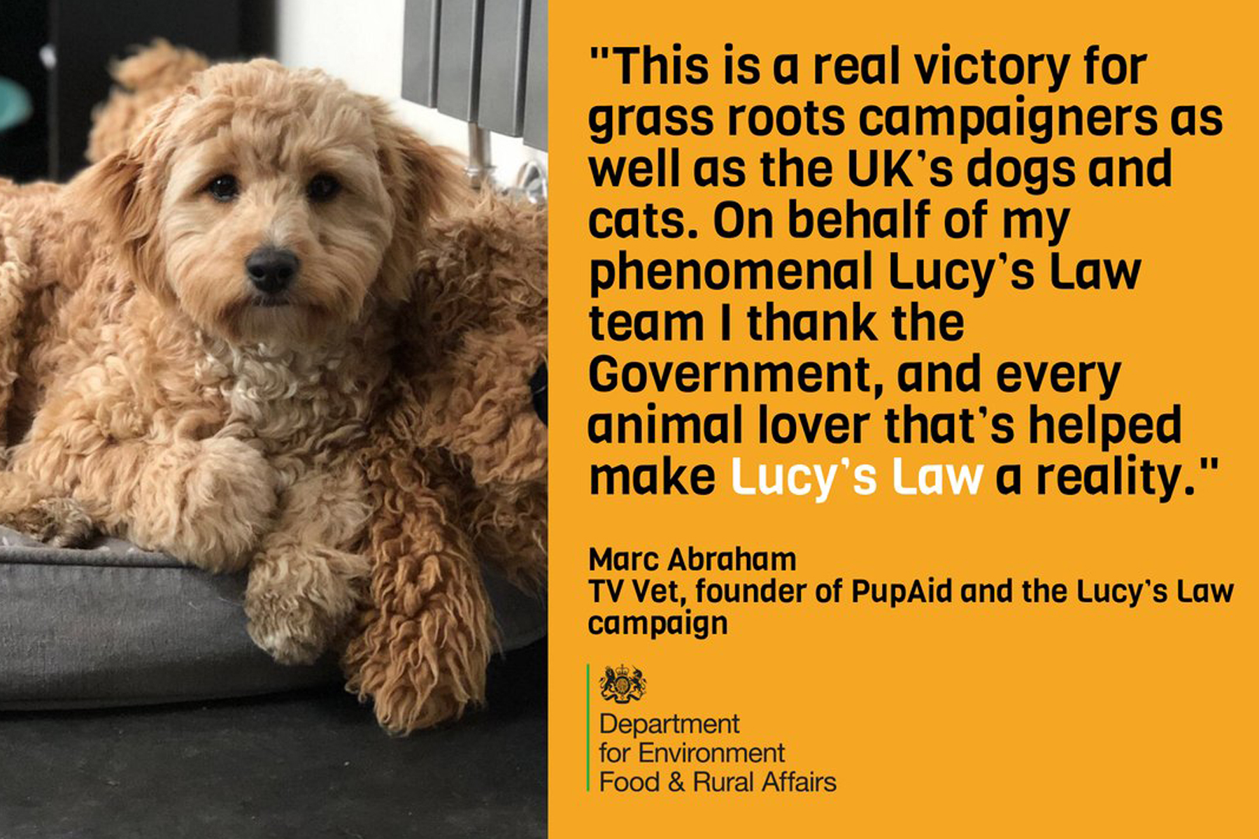 Il ne sera désormais plus possible d'acheter des chiens et chats âgés de moins de 6 mois dans les animaleries britanniques. Il ne sera désormais plus possible d'acheter des chiens et chats âgés de moins de 6 mois dans les animaleries britanniques.