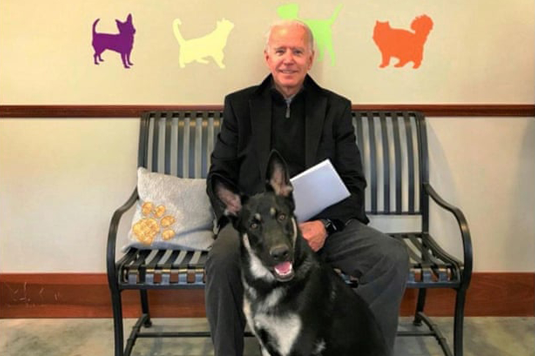 chien-biden-major chien-biden-major
