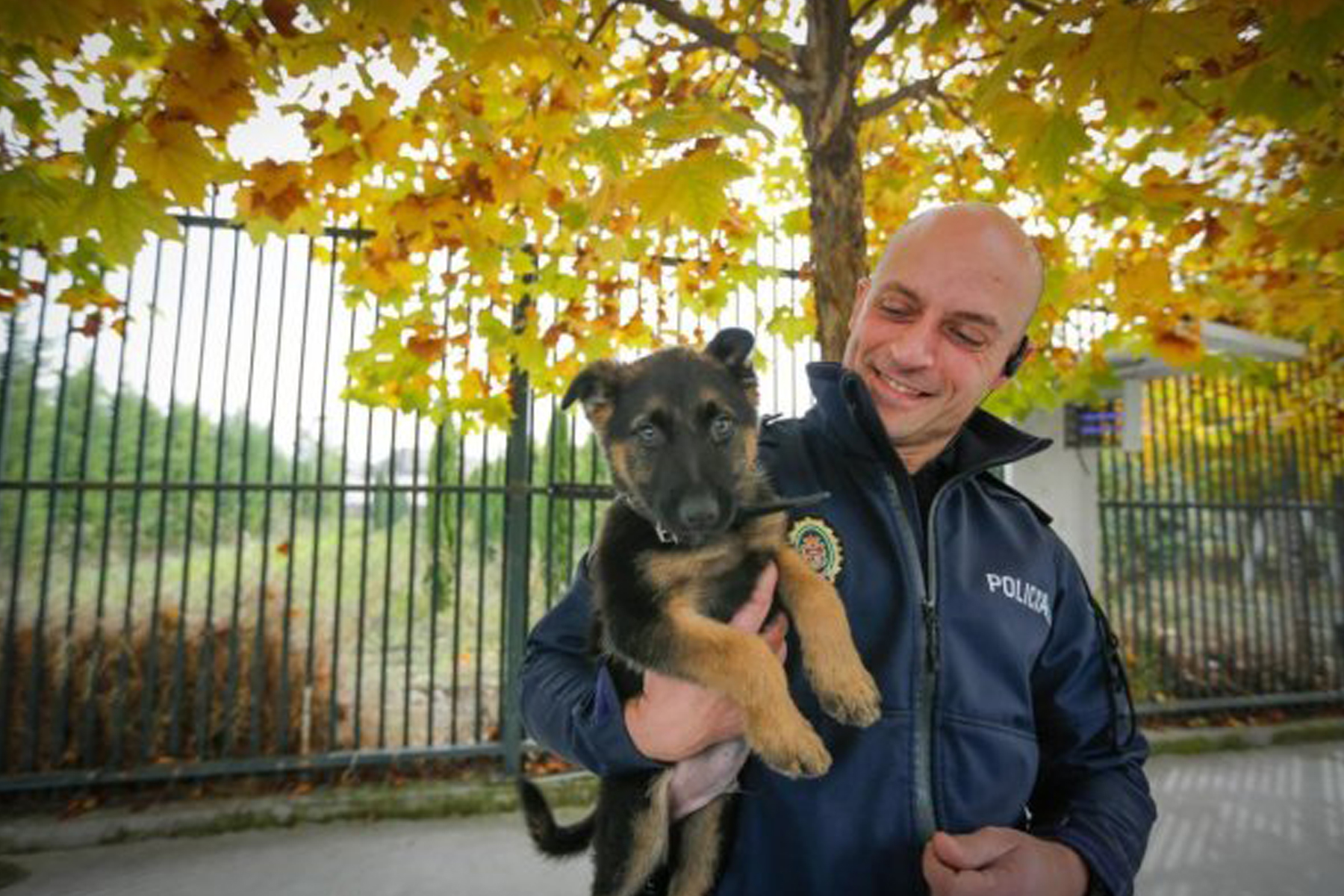 chiot police espagne chiot police espagne
