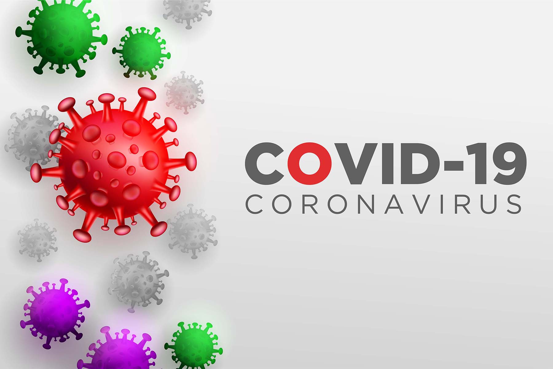 coronavirus-animaux-suisse coronavirus-animaux-suisse