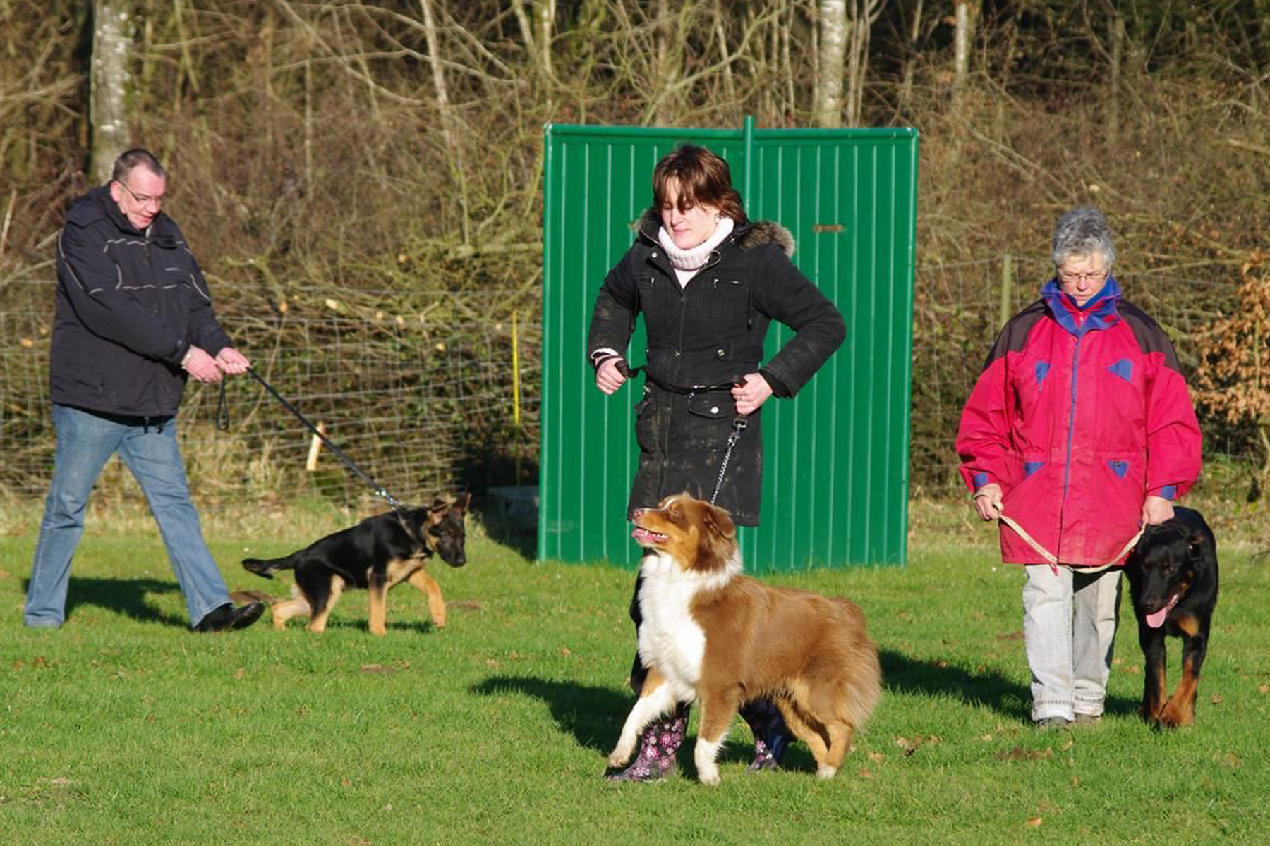 Valais: vers la réintroduction des cours canins obligatoires