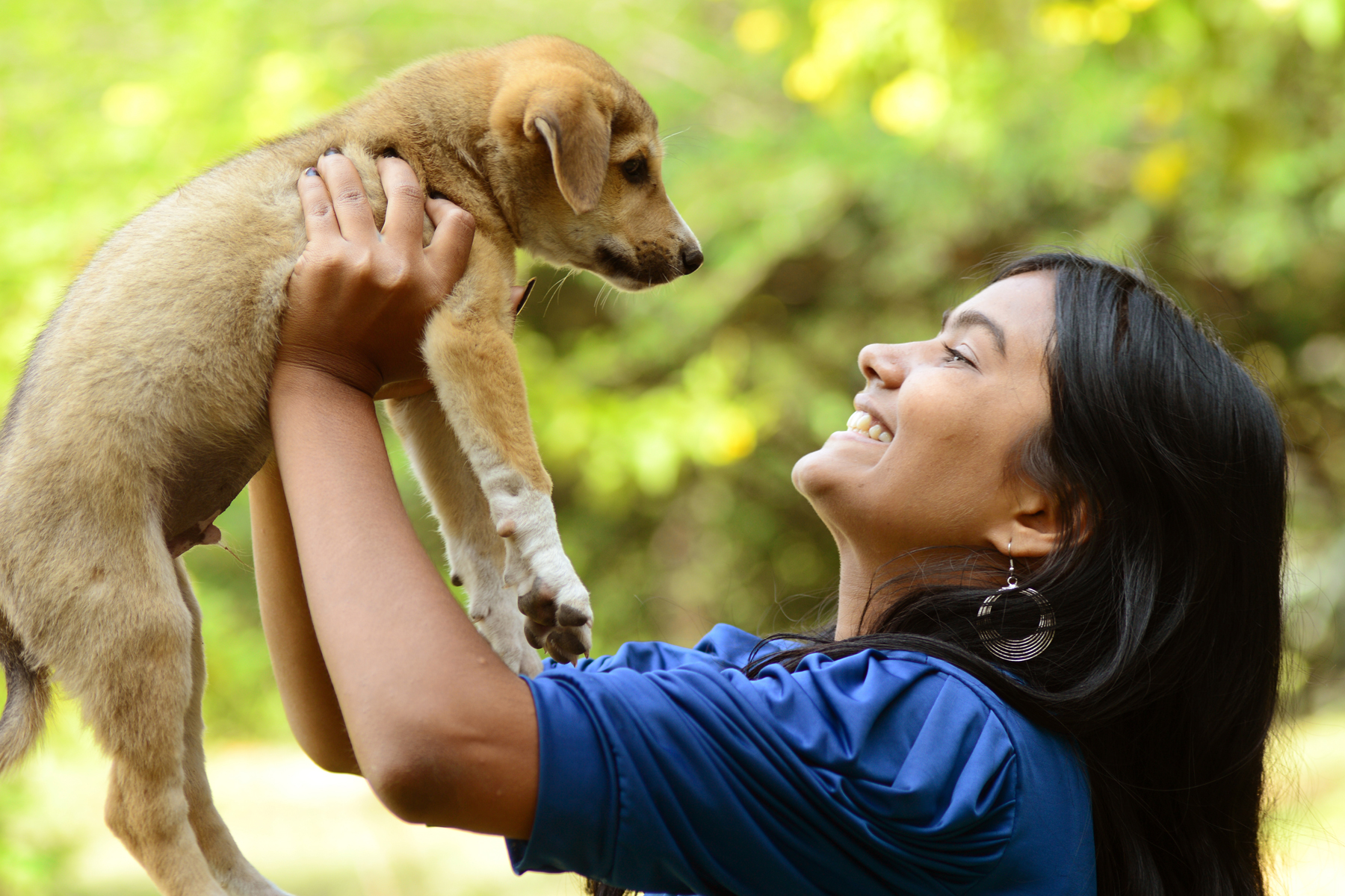 Adopter son chien en élevage pets.ch