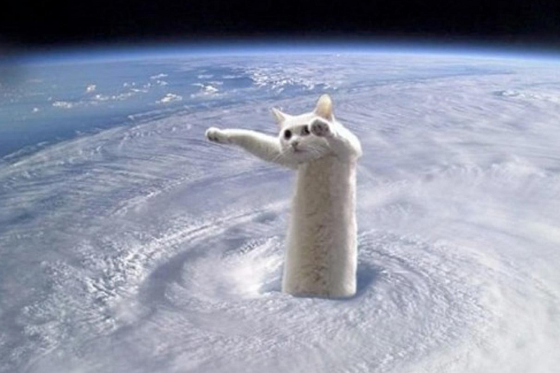 longcat-deces longcat-deces