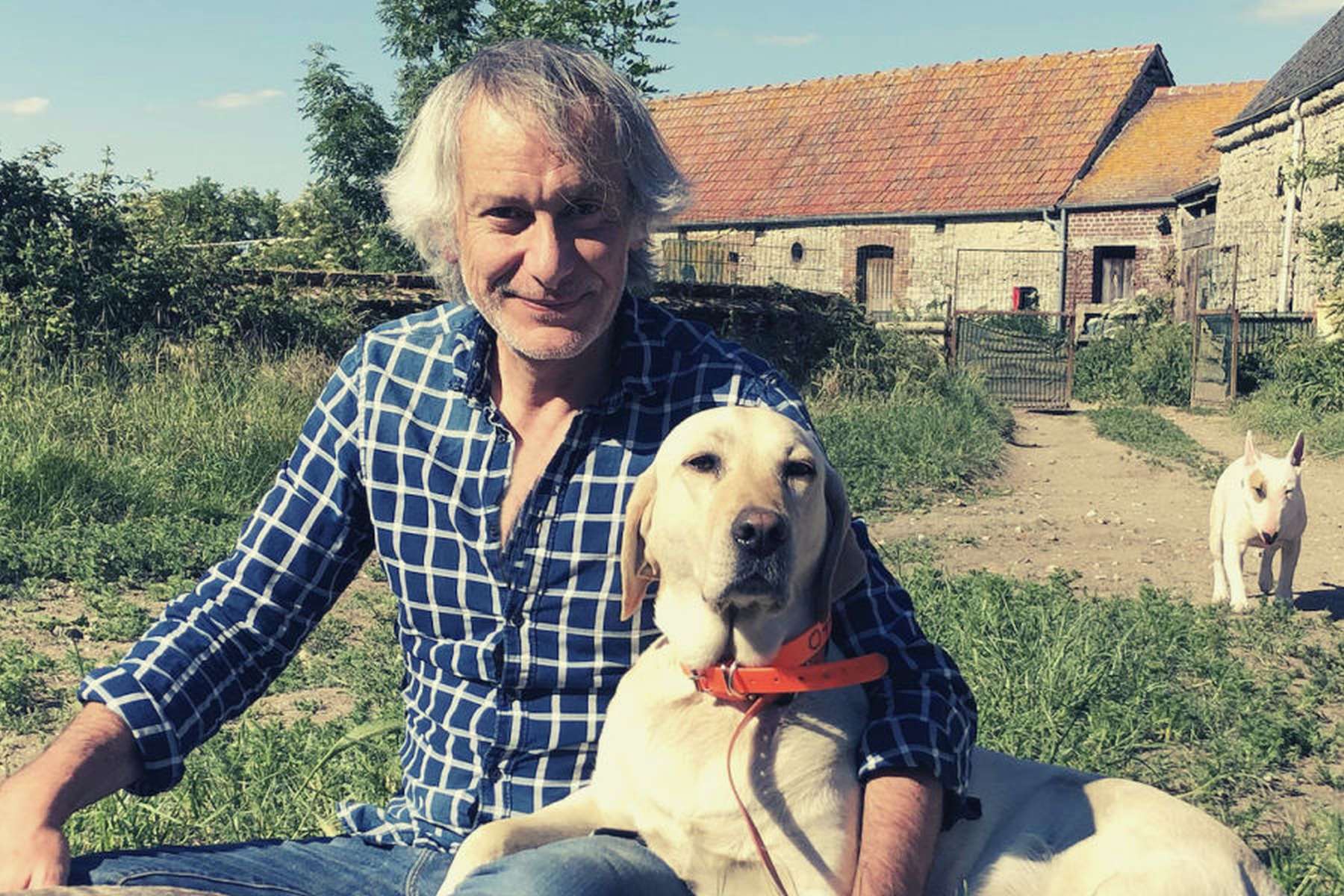 lancement d'une chaine VOD dédiée aux animaux lancement d'une chaine VOD dédiée aux animaux