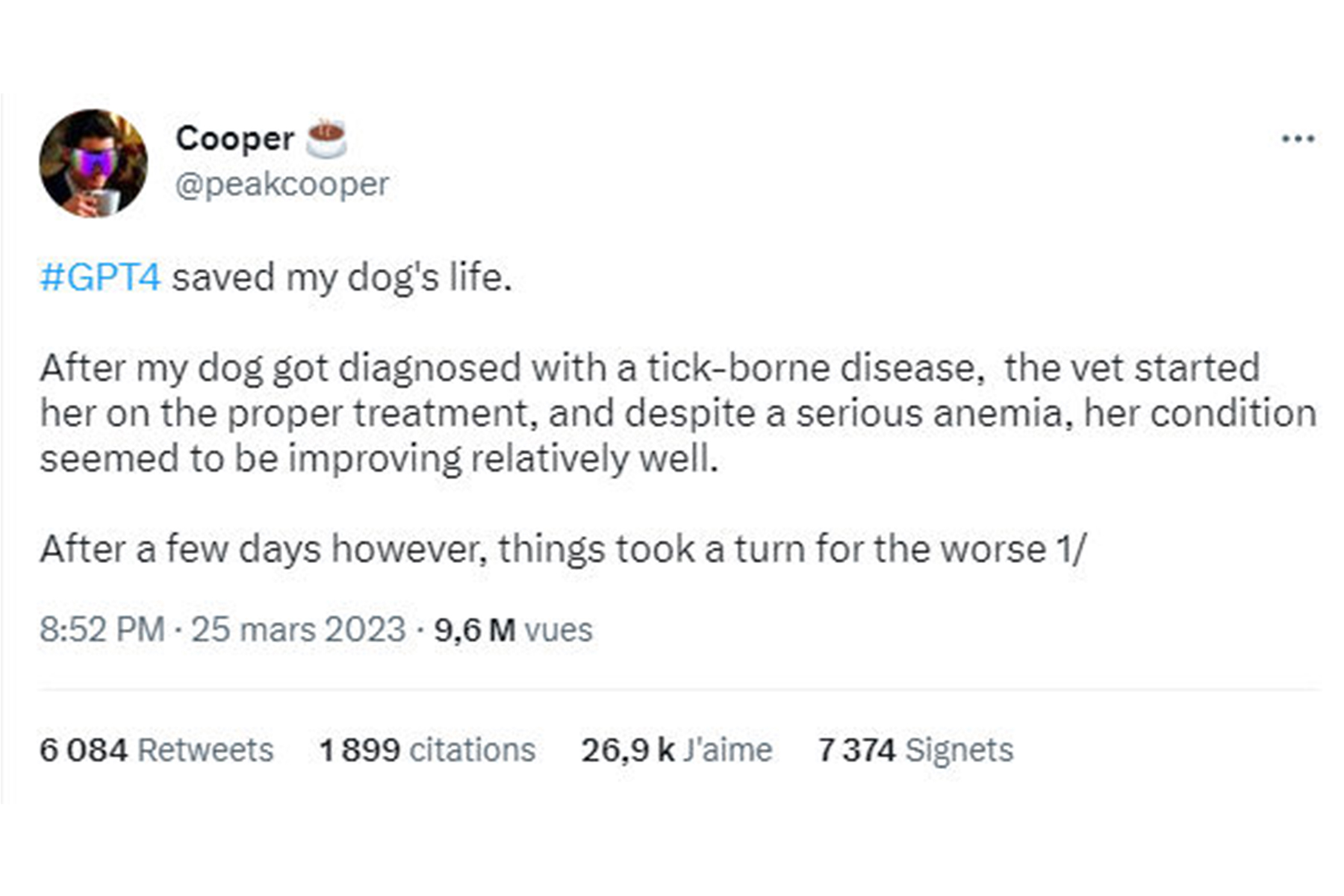 L'intelligence artificielle a proposé un diagnostic qui a permis de sauver un chien L'intelligence artificielle a proposé un diagnostic qui a permis de sauver un chien