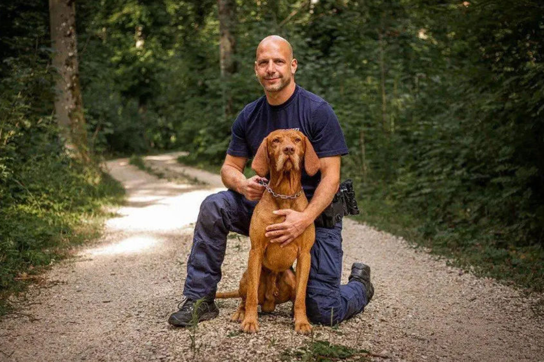 chien retrouve personne disparue chien retrouve personne disparue