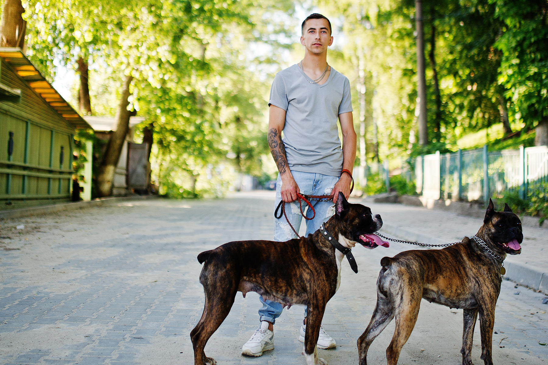 Pétition lancée par des propriétaires de chien à Ascona Pétition lancée par des propriétaires de chien à Ascona