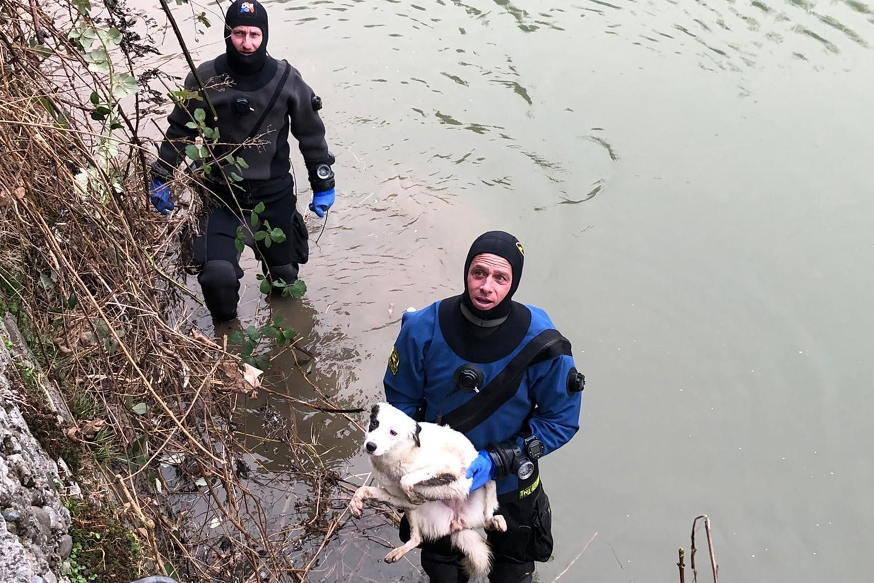 police-fribourg-sauvetage-chien-sarine police-fribourg-sauvetage-chien-sarine