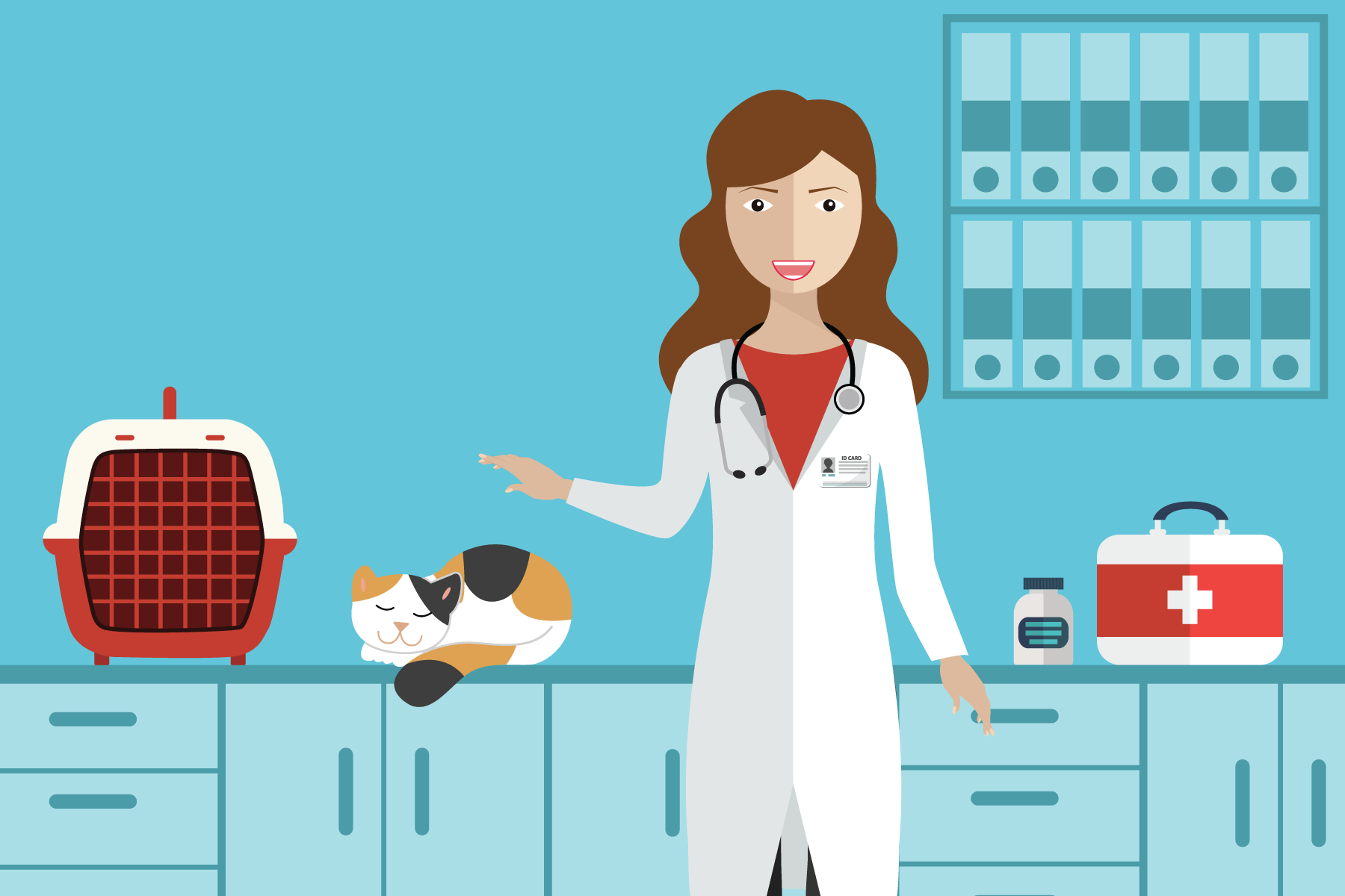 conseils vérétiraires conseils vétérinaires