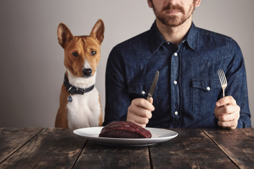 aliments-chats-chiens