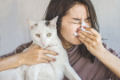 allergies-animaux-cohabitation