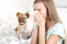 fille qui éternue devant un chien