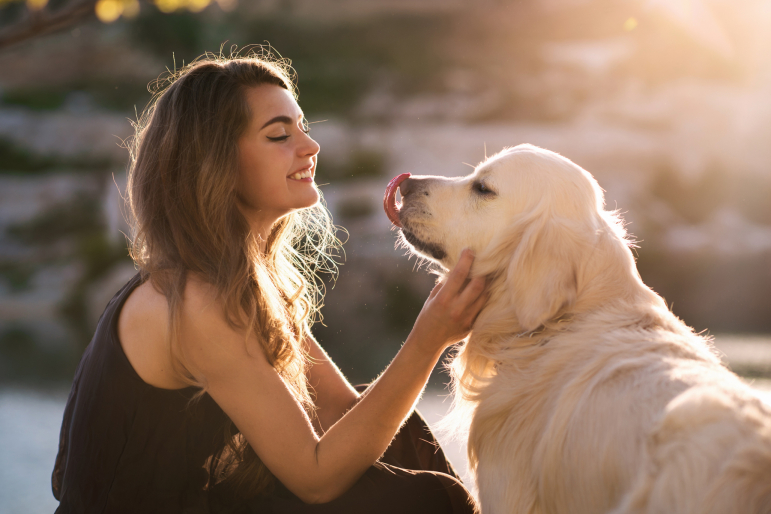 calin chien femme calin chien femme