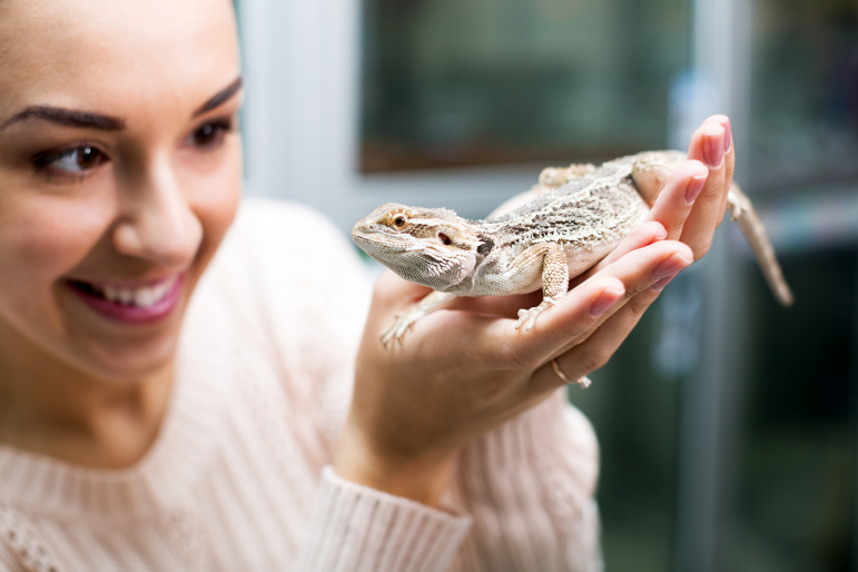 femme regardant un pogona