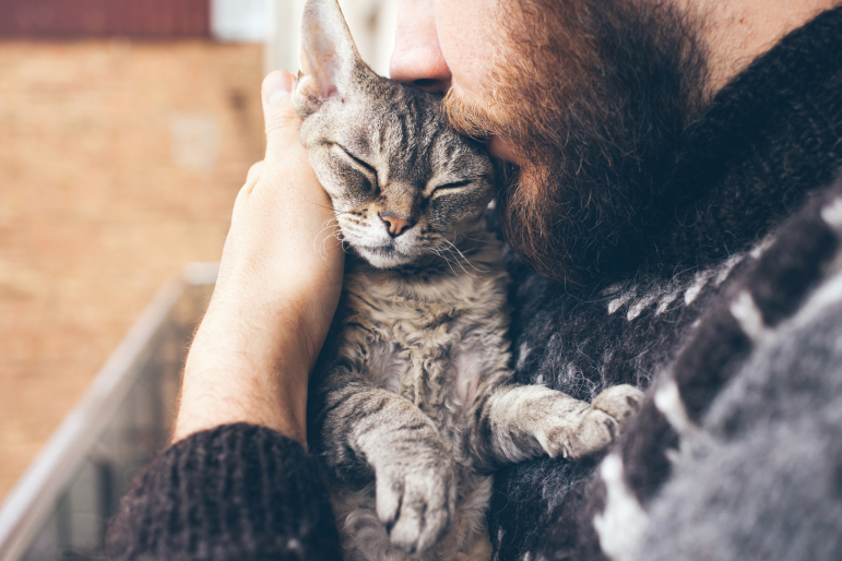 hipster et chat hipster et chat
