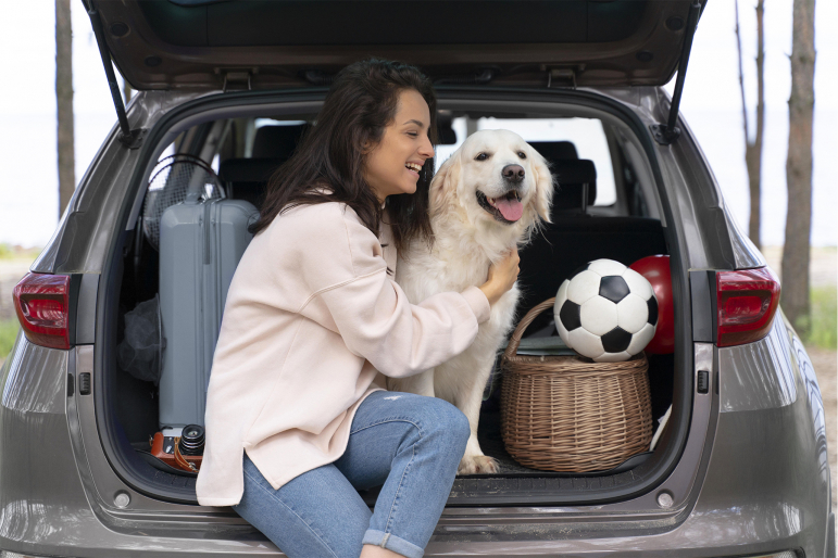 organiser-vacances-chien organiser-vacances-chien