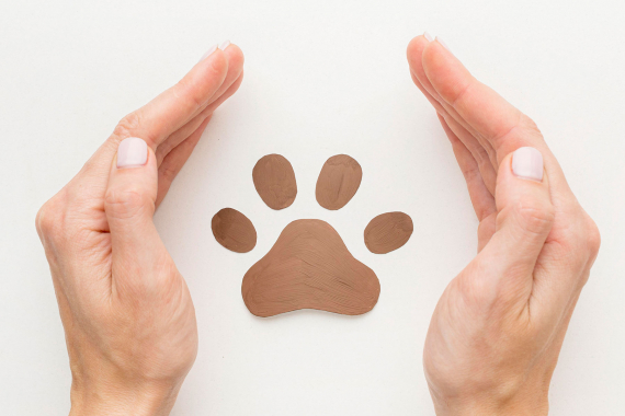 Journée internationale pour les droits des animaux