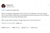 L'intelligence artificielle a proposé un diagnostic qui a permis de sauver un chien